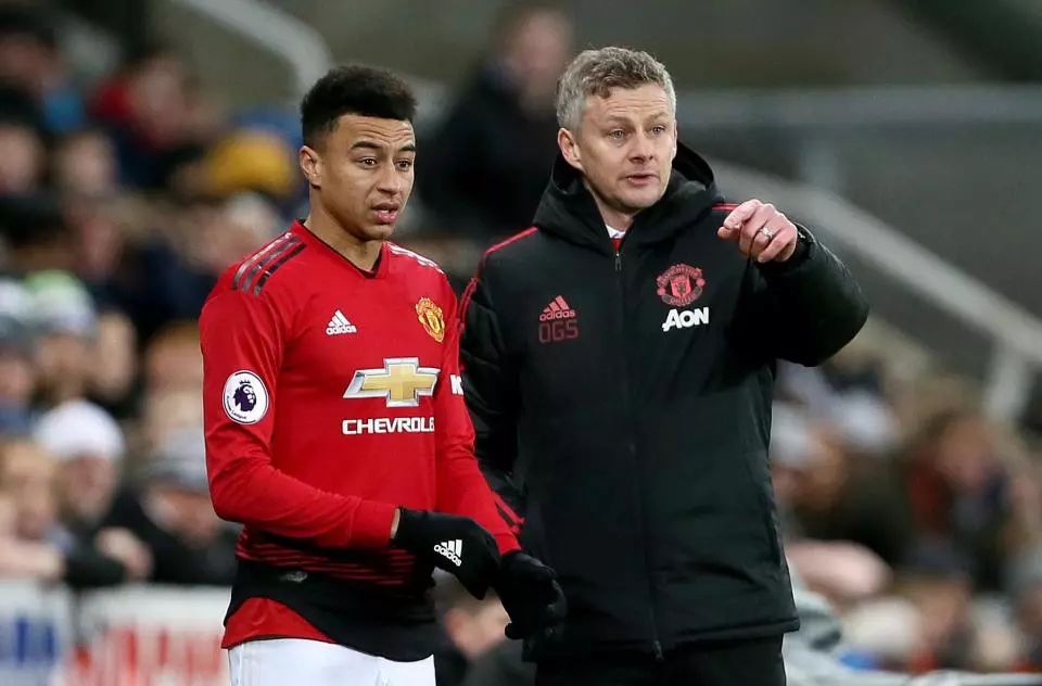 在比赛进行 在比赛进行