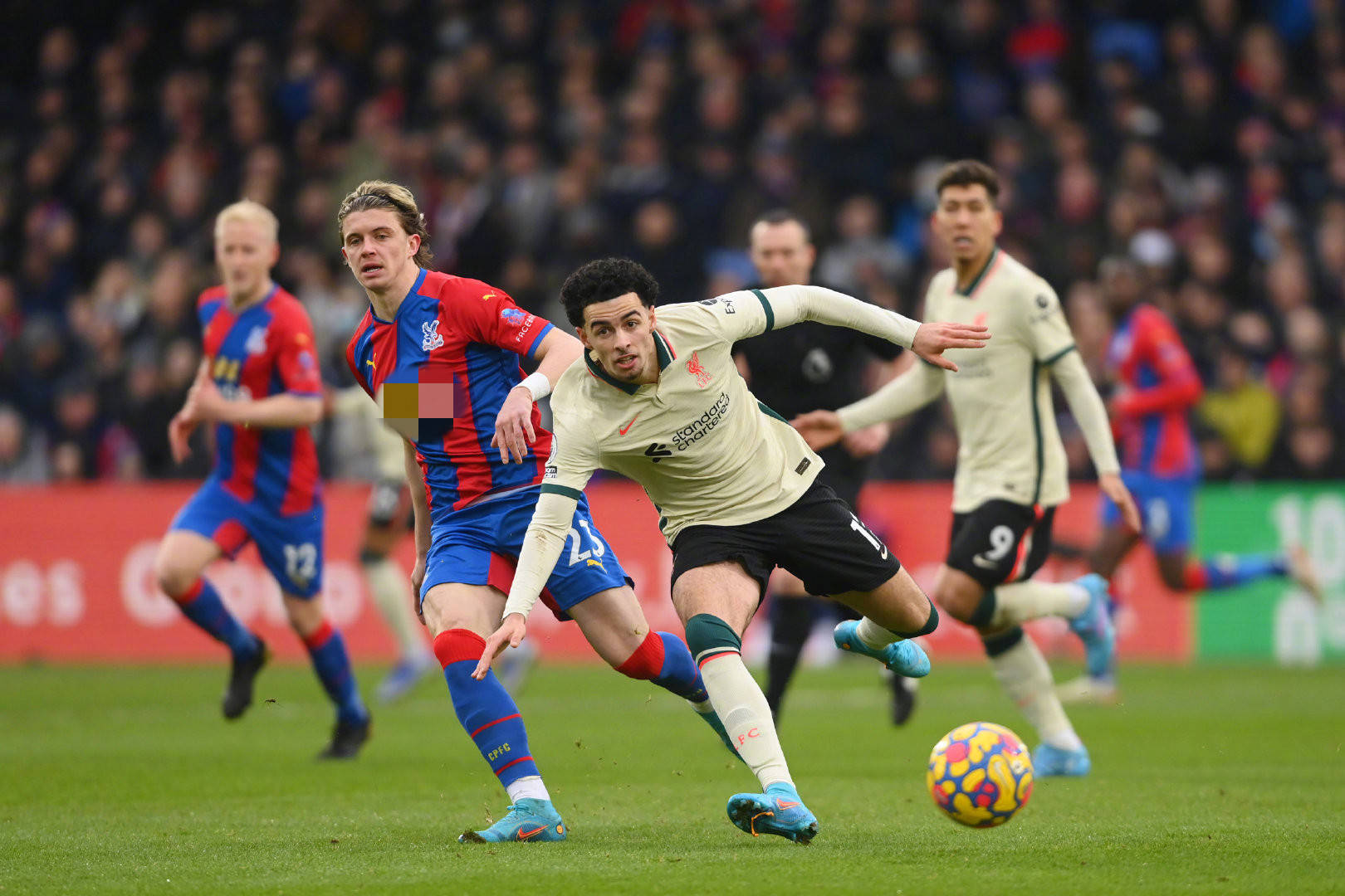 必定能获得 必定能获得